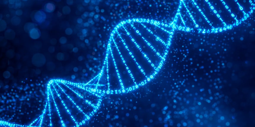 26-02 - [IMAGEM 5] [Blog] - Checklist de Seleção de Ferramenta de Background Check-1