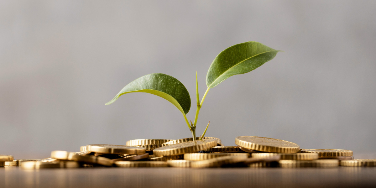 The value (not the price) of investments in Privacy and Information Security - Zoox Smart Data