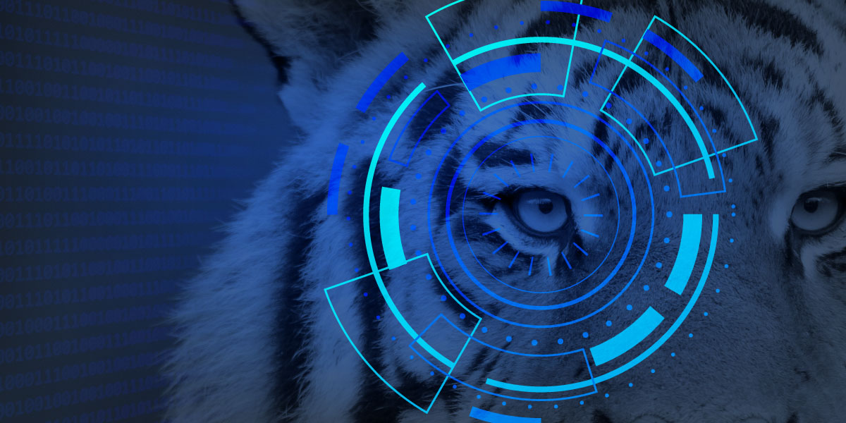Business Analytics:  Is Artificial Intelligence the Future? - Zoox Smart Data